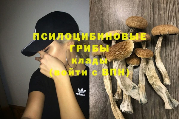 СК Няндома