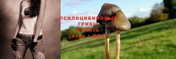 скорость mdpv Нязепетровск