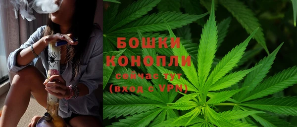 СК Няндома
