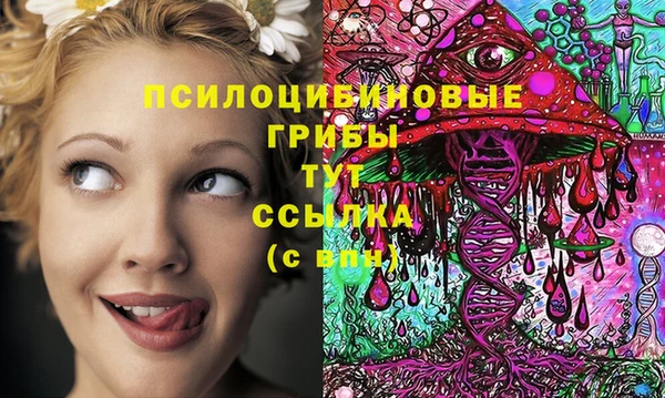 метадон Ветлуга